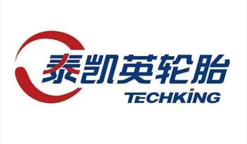 泰凯英logo